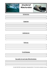 Mönchsrobbe-Steckbriefvorlage.pdf
